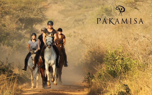 20150907 - CS1_0755 - E