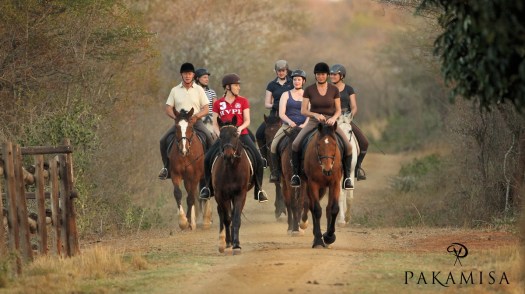 20150907 - CS2_0418 - E