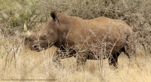 20140930 - CS3_0283 - E