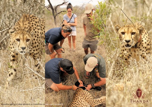 20141005 - CS0_1412_1