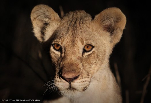 20141025 - CS3_0195 - E_1