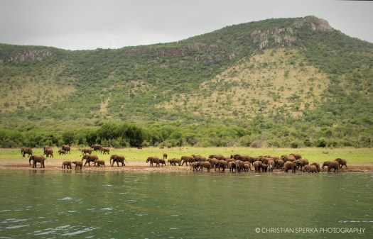 20141119 - CS2_0003 - C