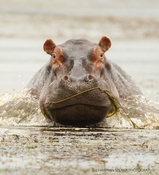 20141119 - CS3_2739 - C