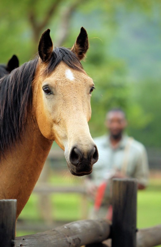 20141120 - CS2_0170 - E