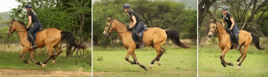 20141121 - CS0_1616 - E