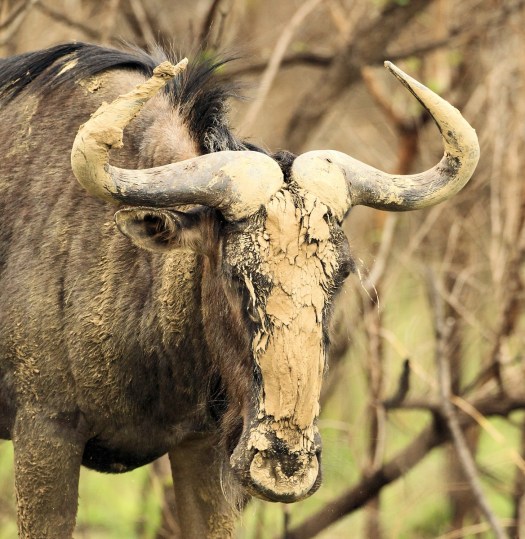 20141121 - CS3_3047 - E