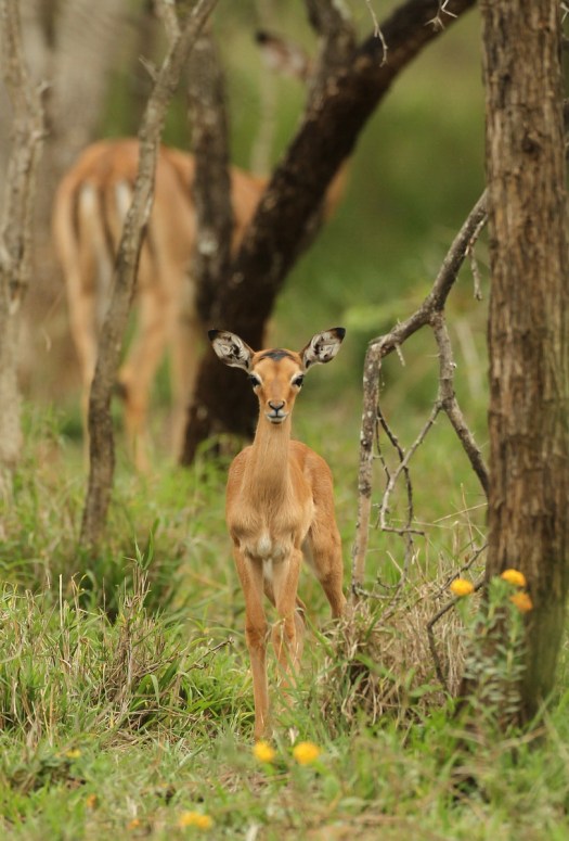 20141121 - CS3_3175 - E