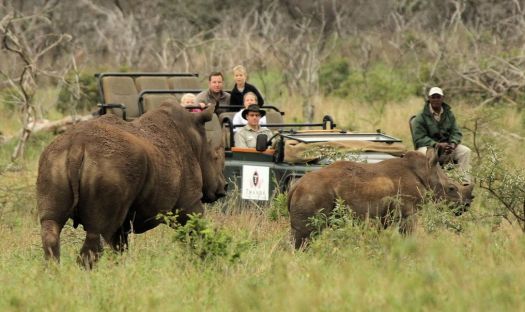 20141130 - CS3_3796 - E 2