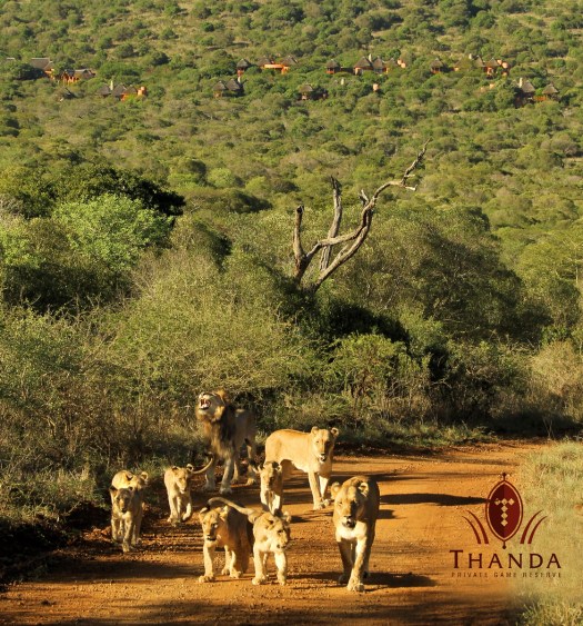 20141203 - CS3_3967 - T