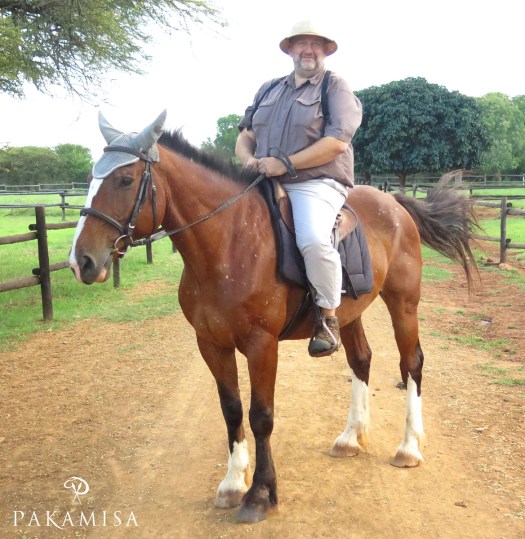 20150108 - CS4_1388 - P