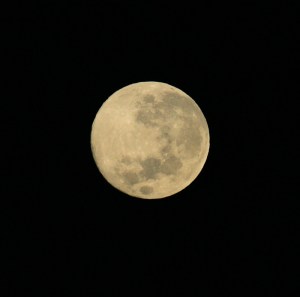 05551 - 20070104 - GK4I2583