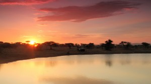 20150105 - CS2_9663 - E