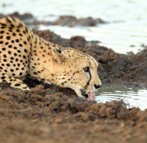 20150105 - CS3_9604 - E