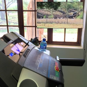 20150105 - CS5_1214 - E