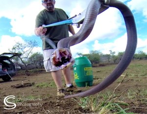 20150212 - CS6_0932 - C