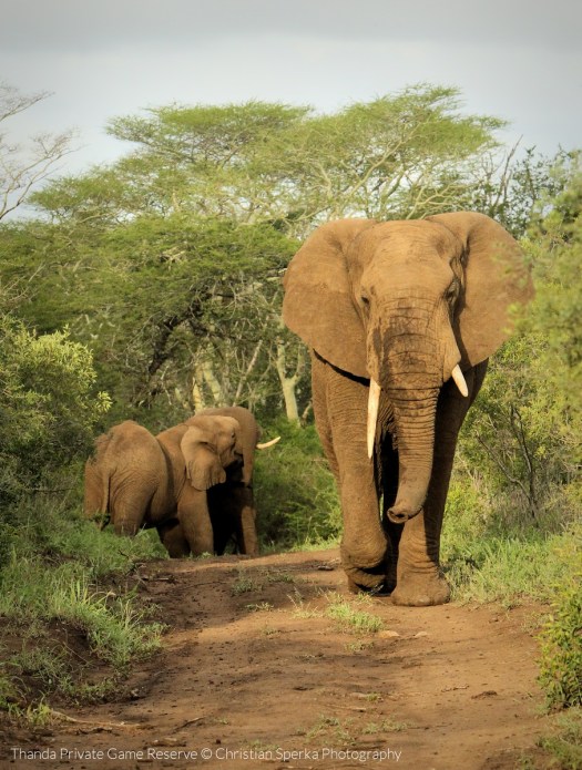 20150216 - CS3_1875 - T