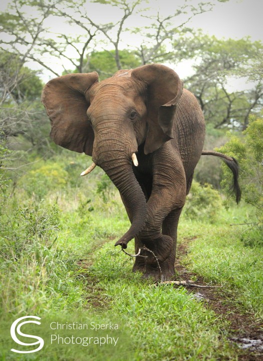 20150301 - CS2_2335 - C