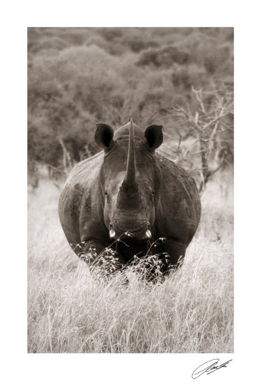 20130512 - CS2_9966 - S 2