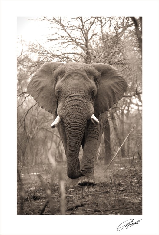 20131006 - CS1_0372 - S 2