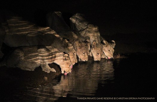 20150328 - CS3_0009 - E