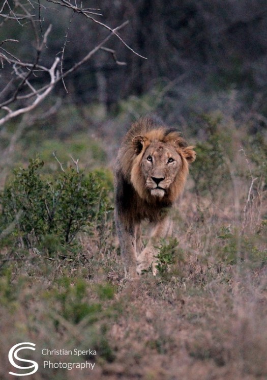 20150404 - CS2_3806 - E_1