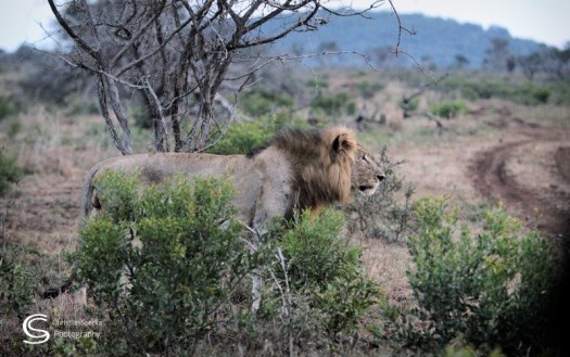 20150404 - CS3_4389 - E