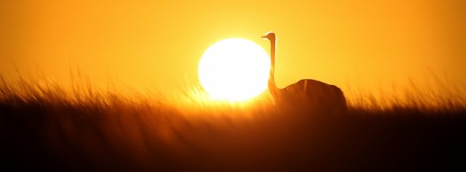 20150407 - CS3_5177 - F_1