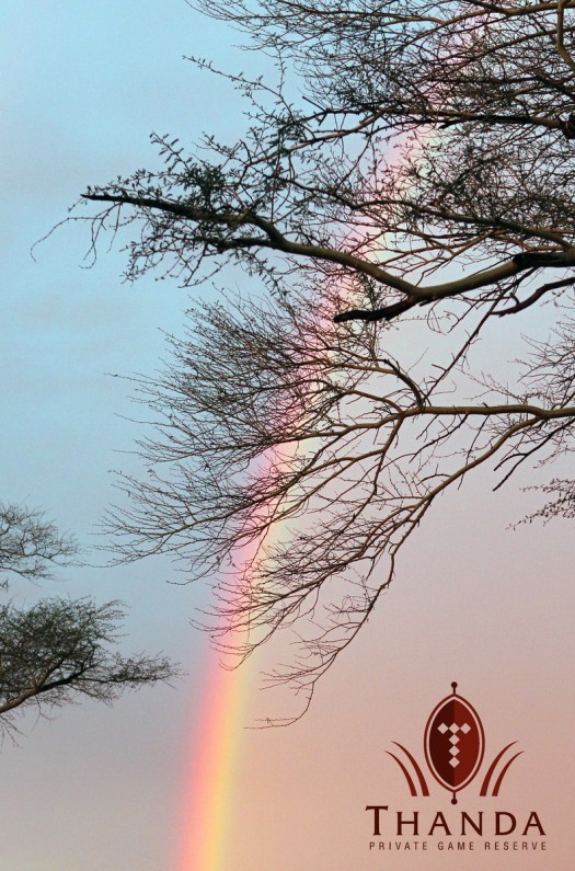 20150410 - CS2_4408 - E