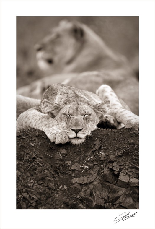 20150424 - CS0_1558 - S 2_2