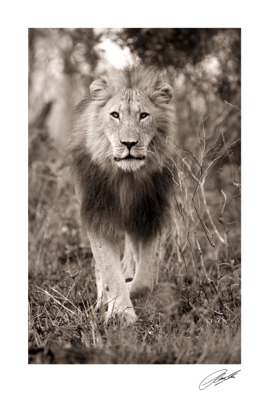 20150421 - CS3_5638 - S 2