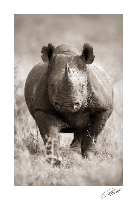 20150422 - CS3_5890 - S 2