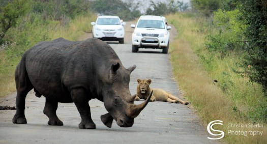 20150430 - CS3_6081 - E