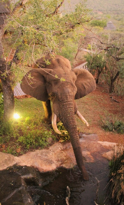 20150514 - CS3_6792 - E