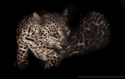 20150521 - CS1_6868 - E_2