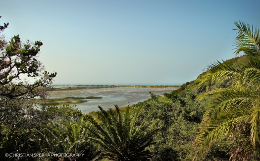 20150529 - CS1_7994 - C