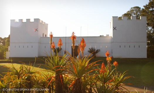 20150529 - CS1_8341 - C