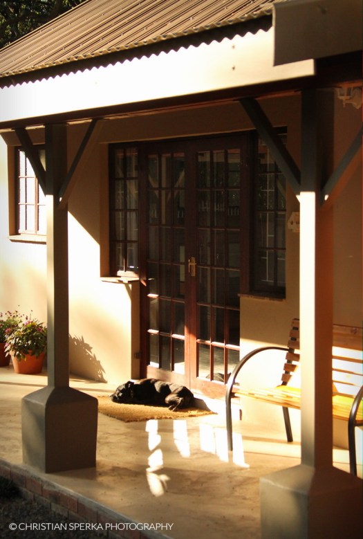 20150530 - CS1_8377 - C