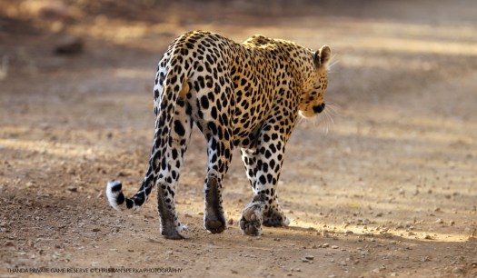 20150620 - CS3_9944 - E