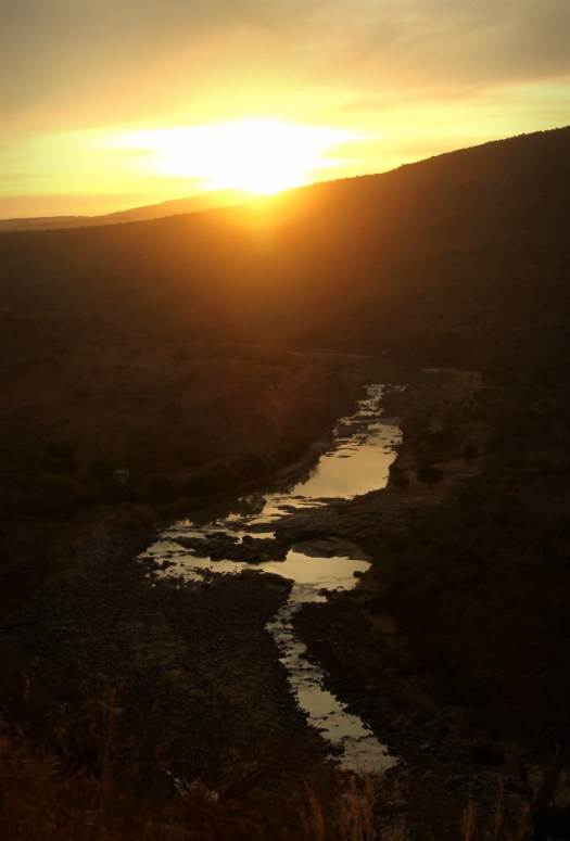 20150705 - CS2_6620 - E