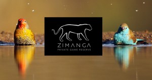 20150721 - CS2_9393 - Z