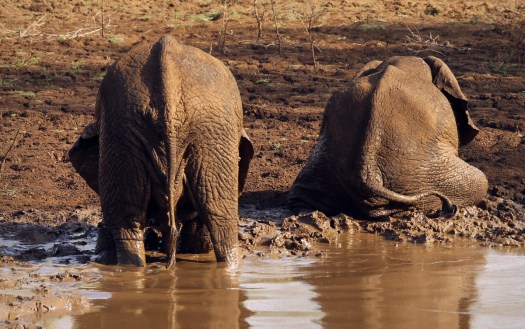 20150515 - CS3_6934 - E