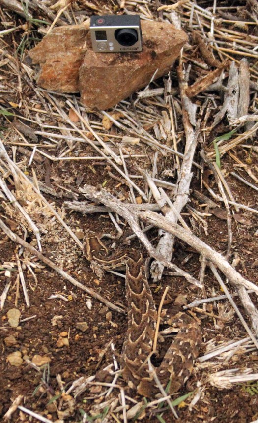 20150905 - CS1_0883 - E