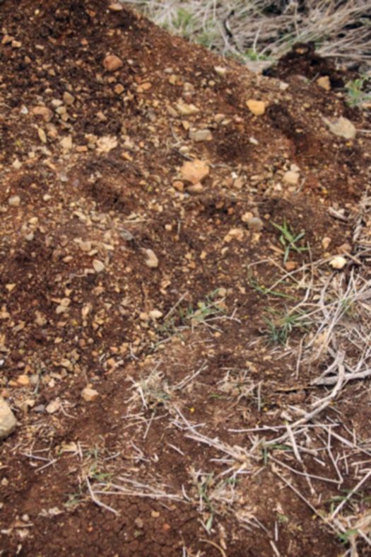 20150905 - CS1_0886 - E