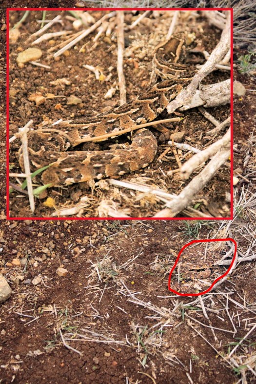 20150905 - CS1_0886 - SPC