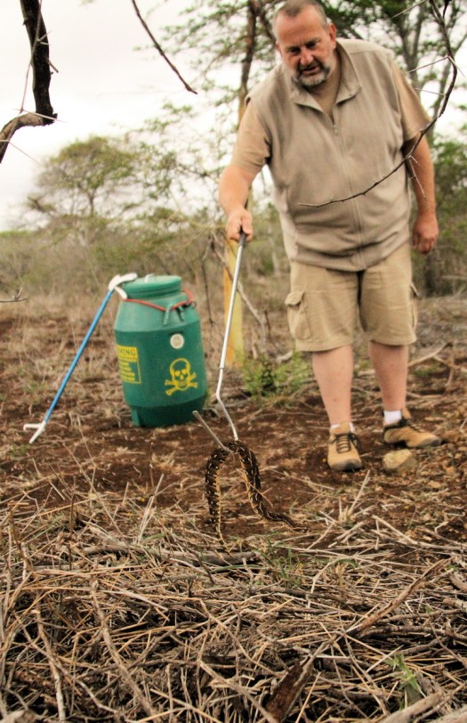 20150905 - CS1_0894 - E