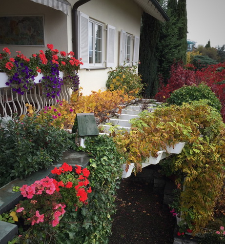 20151030 - CS6_0004 - E