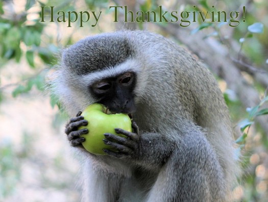 01757 - 20040724 - E