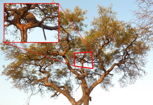 20110701 - P1020326 - E 2