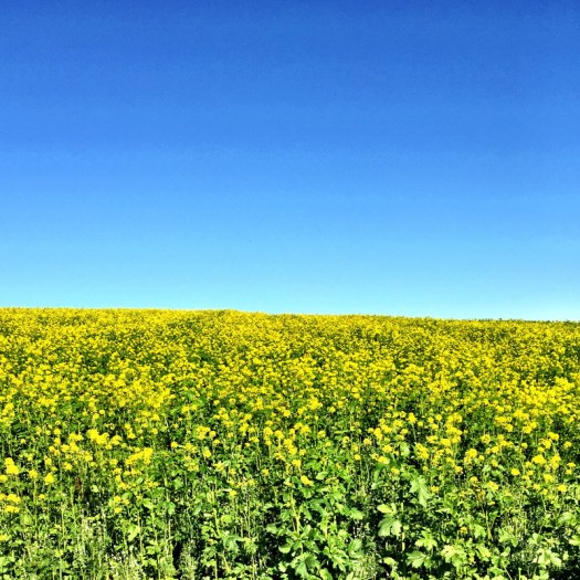 20151101 - CS6_0000 - E