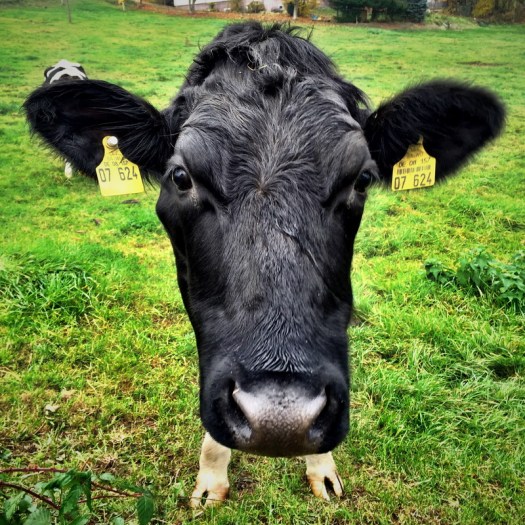 20151103 - CS6_0000 - E